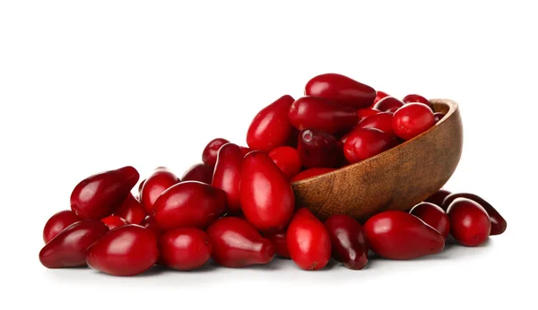 Bowl Red Dogwood Berries White Background — Stock Photo, Image