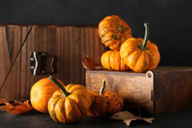 Koyu arkaplanda taze balkabakları olan kompozisyon