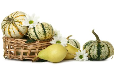 Beyaz zemin üzerinde balkabakları ve armutları olan sonbahar kompozisyonu