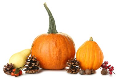 Beyaz zemin üzerinde bal kabakları ve armut ile sonbahar kompozisyonu