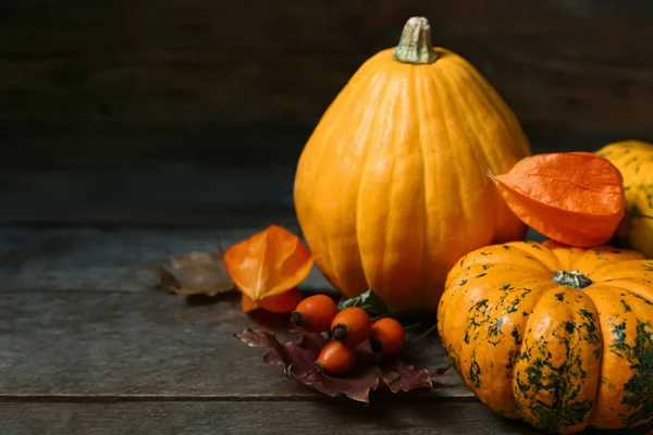 Autumn Composition Pumpkins Rose Hips Dark Wooden Background — Stock Photo, Image