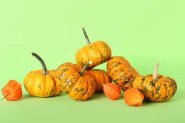 Renkli arka planda birçok olgun balkabağı ve bitki örtüsü