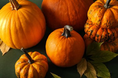 Renkli arkaplanda farklı balkabakları ve sonbahar yaprakları, yakın plan