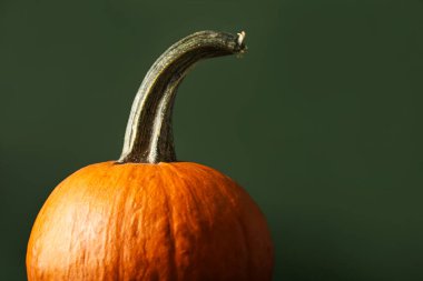 Renkli arkaplanda olgun balkabağı, yakın plan