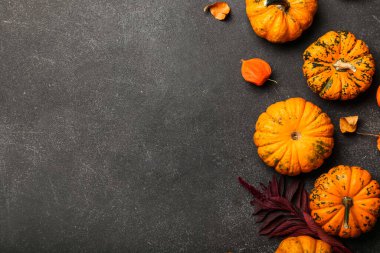 Koyu arkaplanda balkabakları olan sonbahar kompozisyonu