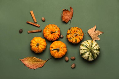 Renk arkaplanında balkabakları ve baharatlarla sonbahar kompozisyonu