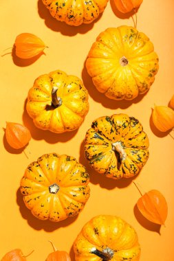 Turuncu arka planda olgun balkabakları ve bitki örtüsü, yakın plan.