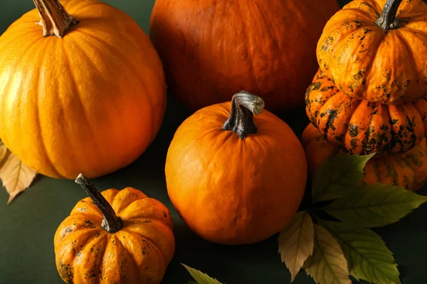 Different Pumpkins Autumn Leaves Color Background Closeup — Stock Photo, Image