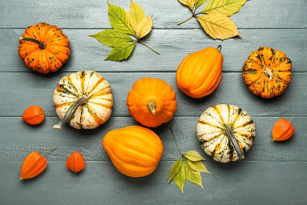 Composición Con Diferentes Calabazas Physalis Sobre Fondo Madera Oscura —  Fotos de Stock