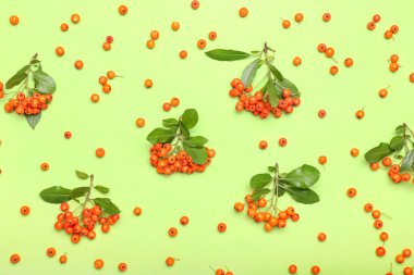 Yeşil arka planda bir sürü yaban mersini