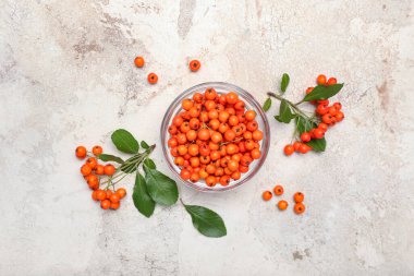 Hafif arka planda rowan üzümlü kase