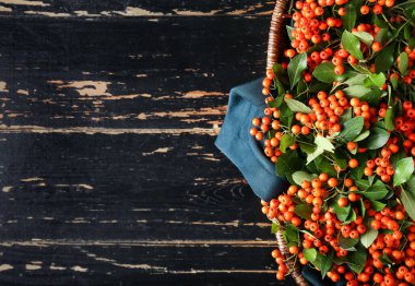 Koyu ahşap arka planda olgun yaban mersini dolu sepet, yakın plan.