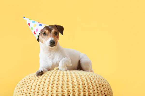 Adorable dog in party hat on pouf against color background