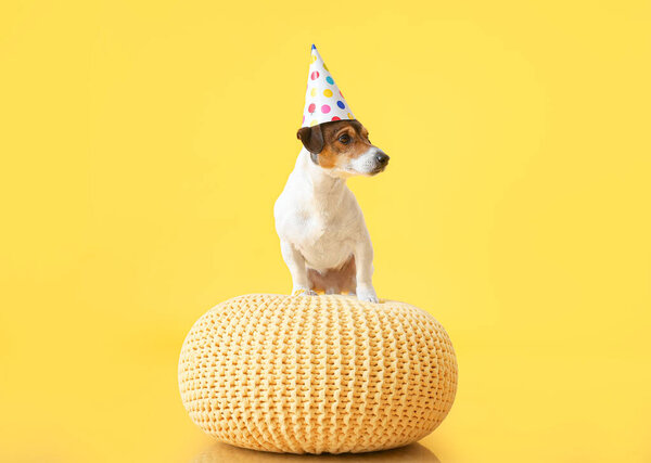 Adorable dog in party hat on pouf against color background