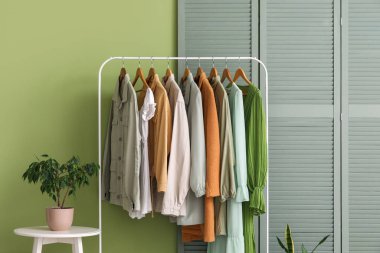 Elbise askılığı, katlama ekran ve çiçek desenli şık bir koridor.