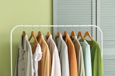 Elbise askılığı ve katlama ekranlı şık koridorun içi