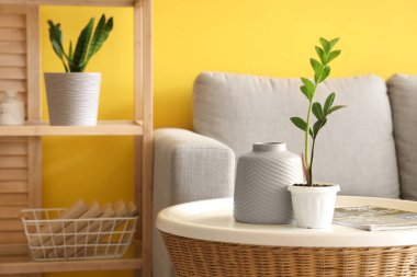 Sehpa, vazo ve dergi şık oturma odasında, yakın plan.