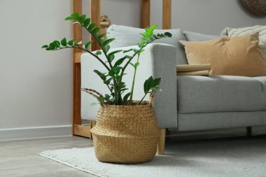 Oturma odasının iç tarafında çiçek sepeti, yakın plan.