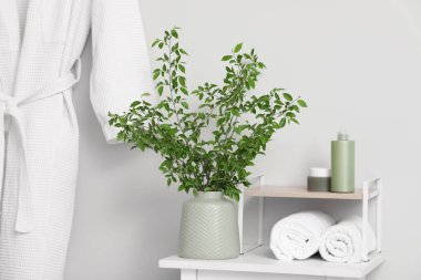 Banyonun içi yeşil dallarla dolu.