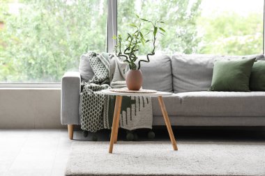 Gri kanepeli, büyük pencereli ve kahve masasında bambu saplı şık bir oturma odası.