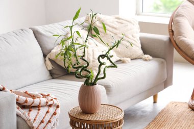 Oturma odasındaki sehpanın üzerinde bambu saplı vazo, yakın plan.