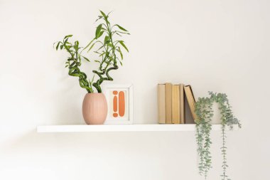 Bambu saplı raflar, kitaplar ve beyaz duvarda asılı bitki örtüsü, yakın plan.