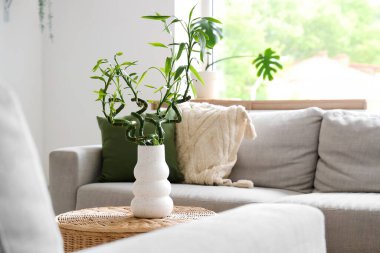 Oturma odasındaki sehpanın üzerinde bambu saplı vazo, yakın plan.