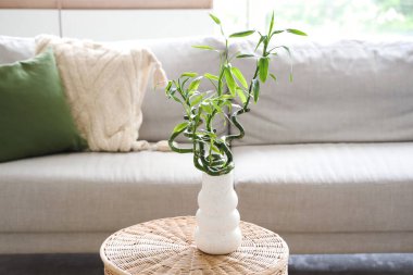 Oturma odasındaki sehpanın üzerinde bambu saplı vazo, yakın plan.