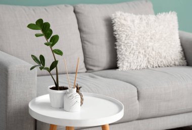 Oturma odasındaki gri kanepenin yanında kahve masası ve aroma çubukları, yakın plan.