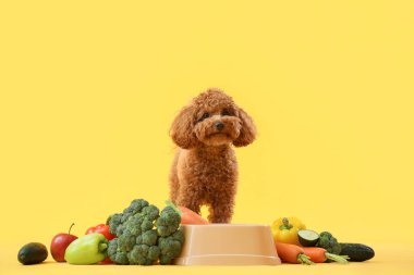 Sarı arka planda taze sebzeli, kasenin yanında sevimli bir oyuncak köpek.