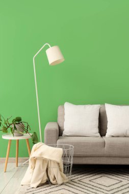 Yeşil duvarın yanında rahat gri kanepesi, standart lambası ve çiçek bitkisi olan şık bir oturma odası.