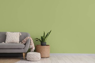 Yeşil duvarın yanında rahat gri kanepe, puf ve çiçekli şık bir oturma odası.