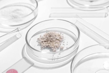Beyaz arka planda toz ve laboratuvar ekipmanları bulunan petri kapları