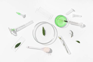 Beyaz arka planda bitki numunesi ve laboratuvar ekipmanı bulunan petri kabı