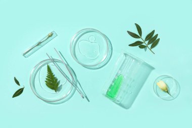 Turkuaz arka planda bitki örnekleri içeren petri kapları