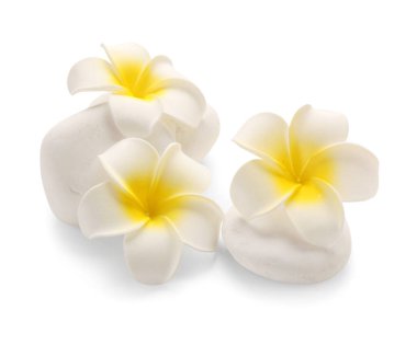 Beyaz arka planda güzel tesisat çiçekleri olan çakıl taşları.