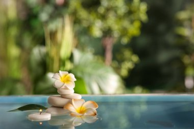 Spa taşları ve tropikal bambu bahçesindeki güzel tesisat çiçekleriyle dolu bir göl.