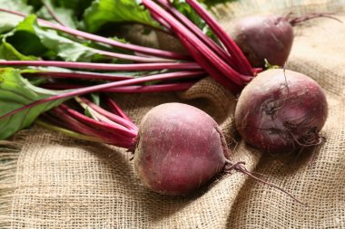 Çuval bezinde taze pancar kökleri, yakın plan.