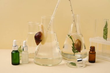 Bej arka planda Achatina salyangozları, bitkiler ve kozmetik ürünleri olan laboratuvar cam örnekleri.