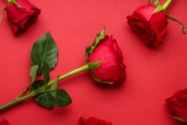 Kırmızı arka planda güzel gül çiçekleri