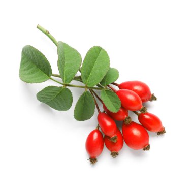 Beyaz arka planda yaprakları olan bir sürü taze gül kalçası çileği.