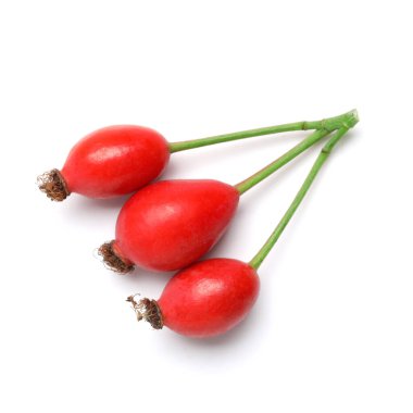 Beyaz arka planda taze gül böğürtlen