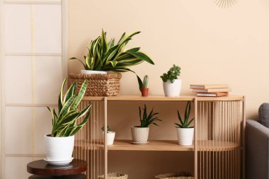 Odada bej duvarın yanında yeşil bitkiler olan raf ünitesi.