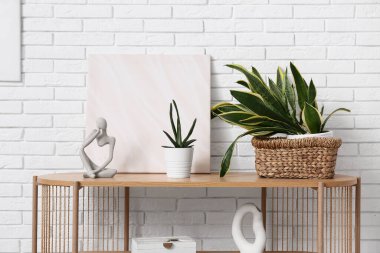 Beyaz tuğla duvarın yanındaki raflarda heykelcikli ve boyalı yeşil bitkiler.