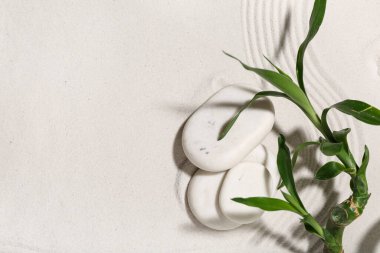 Bambu saplı spa taşları açık kumlarda. Zen kavramı