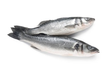 Taze pişmemiş deniz kabuğu balığı beyaz arka planda izole edilmiş, yakın plan.