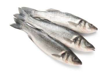 Beyaz arka planda izole edilmiş taze deniz kabuğu balığı, yakın plan.