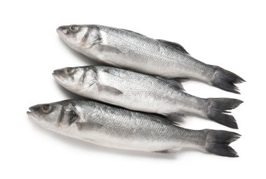 Pişmemiş deniz kabuğu balığı beyaz arkaplanda izole edilmiş, yakın plan.