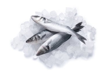 Taze pişmemiş deniz ürünleri ve beyaz arka planda izole edilmiş buz küpleri, yakın plan.