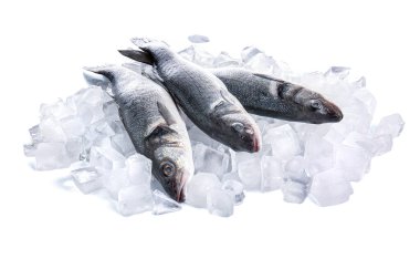 Taze pişmemiş deniz ürünleri ve beyaz arka planda izole edilmiş buz küpleri, yakın plan.